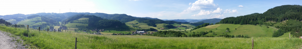 Aussicht 2018 Welschensteinach